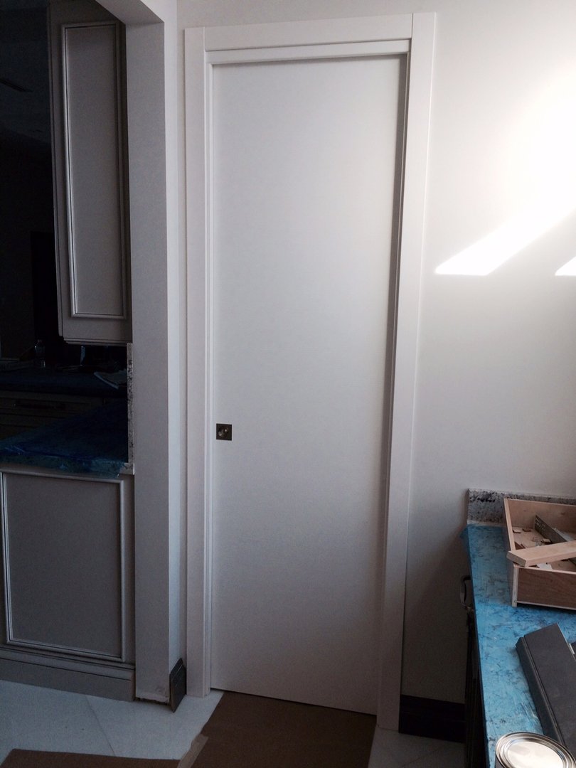 Pocket Door White Matt